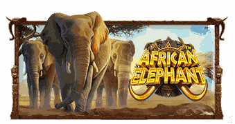 African Elephant™